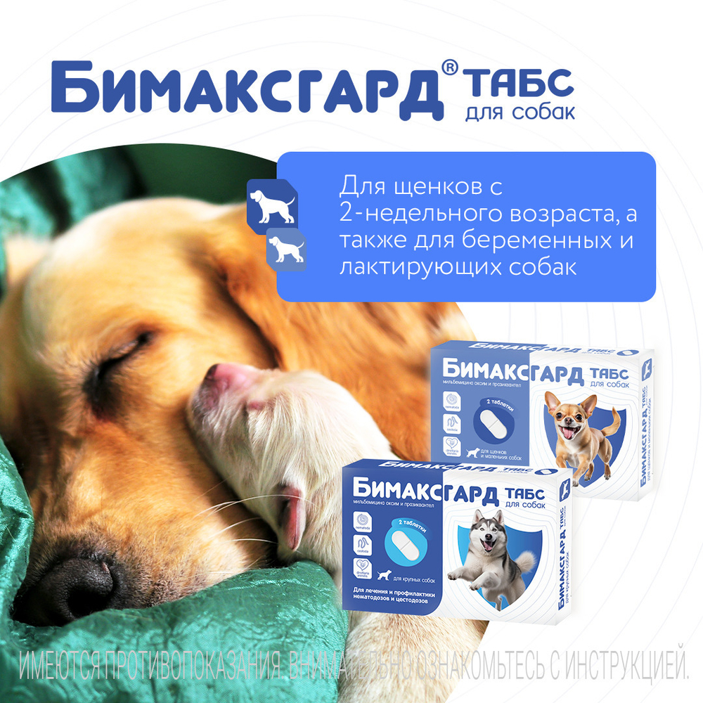 БИМАКСГАРД Табс Таблетки от глистов для крупных собак (2 таблетки)