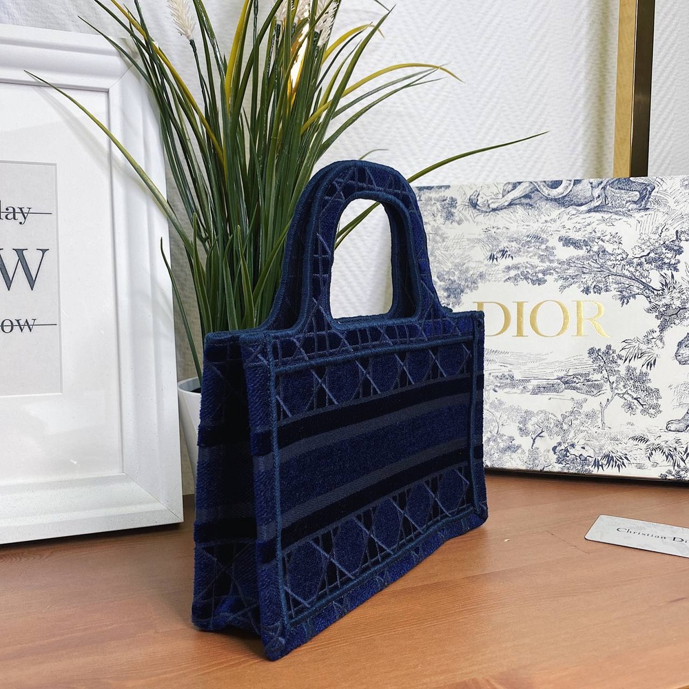 Dior Book Tote Mini