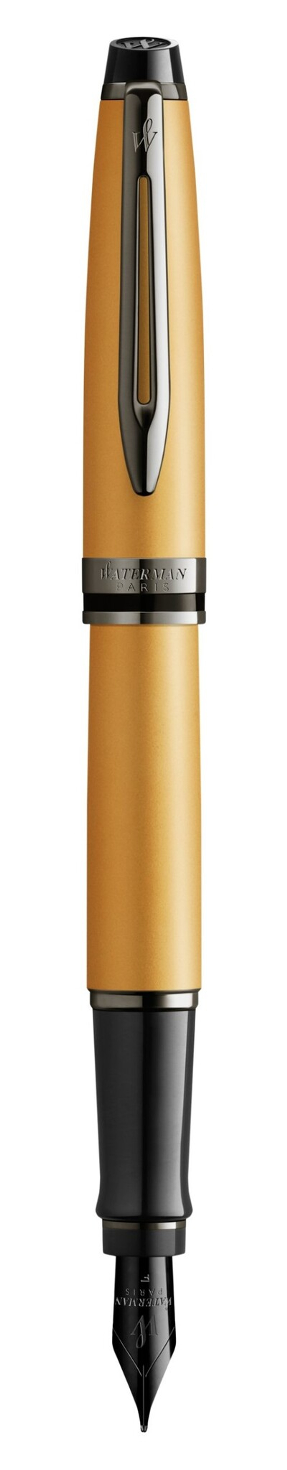 Перьевая ручка WatermanExpert GoldF BLK в подарочной упаковке