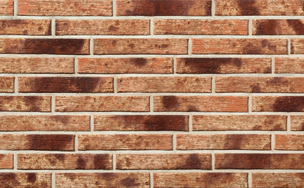 Кирпич облицовочный Plinfa Cassia 1311, 300x85x50