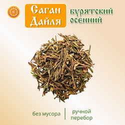 Саган-Дайля.