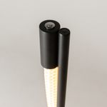 Напольный светильник (торшер) Maytoni MOD166FL-L15B3K