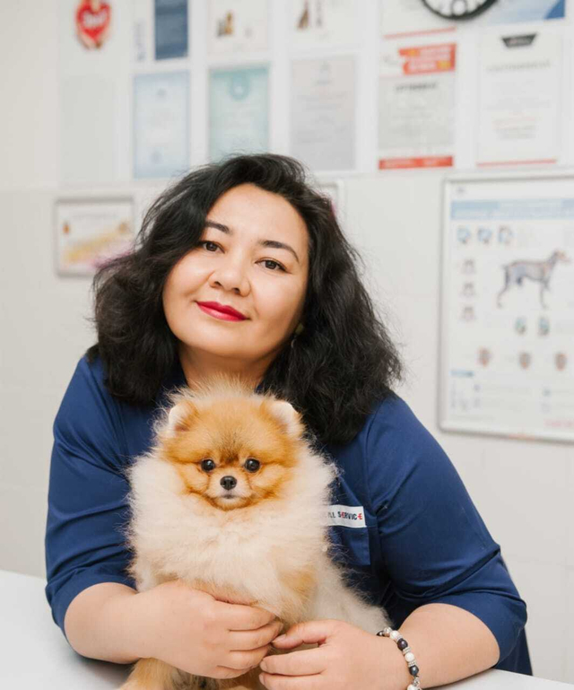 Питомниковый кашель у собак: как защитить питомца