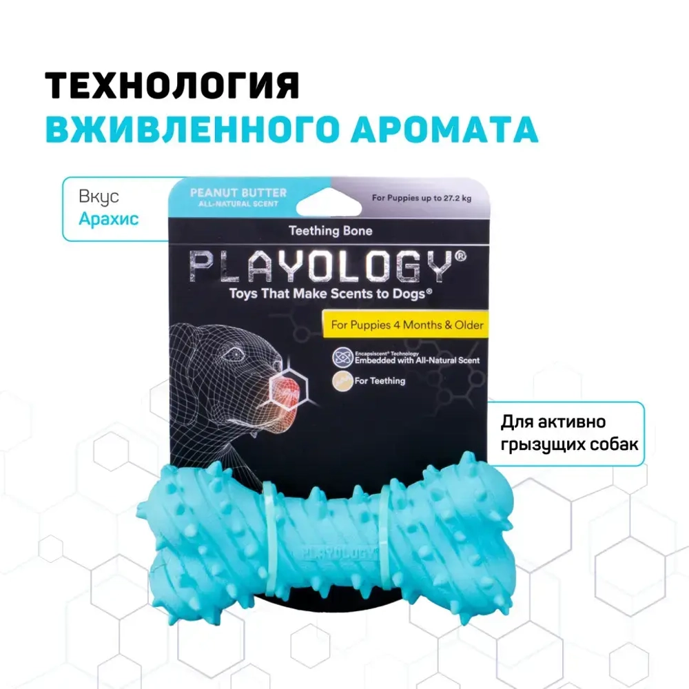 Playology puppy teething bone дентальная хрустящая жевательная косточка для щенков с ароматом арахиса, голубой