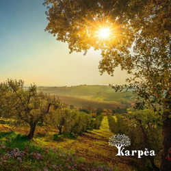 Оливковое масло Karpea 0.3 Extra Virgin 0,5 л, Греция