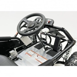 Багги Green Camel Намиб T006 (48V 1000W R6 Цепь) аморт