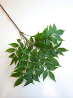 Акация / Арт 1015