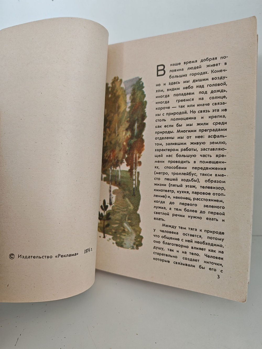 По грибы. Заметки фенолога