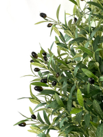 Олива 180 см.