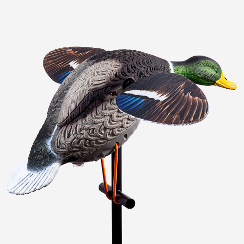 Селезень махокрыл электрический