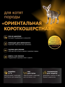 Корм для котят Ориентальная короткошёрстная, индейка 400 гр