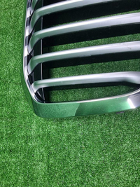 Решетка радиатора BMW X7 G07 (2019-2022)