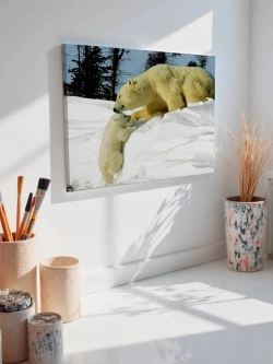 Картина на стену 40 X 50 Белые медведи