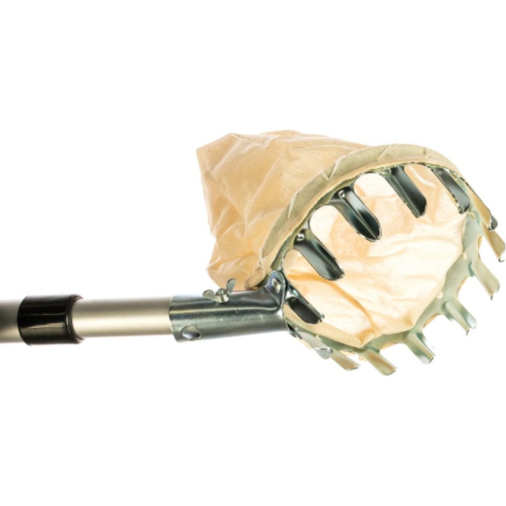 GAPS01-89 GREEN APPLE Плодосъемник, телескопический | GREEN APPLE