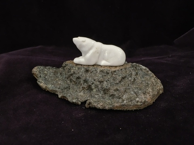 Белый медведь