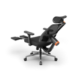 Эргономичное компьютерное кресло FoxGear NETZ модель M, черный (FG-NETZ-M-BK)