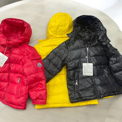 Детский пуховик на холодную осень Moncler