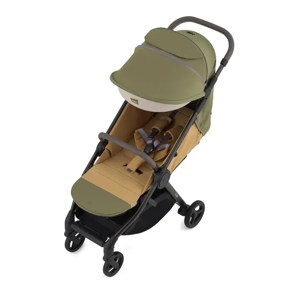 Коляска ANEX iQ Premium 2 в 1 Hugg x Brandon Coleman