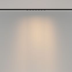 Трековый магнитный светодиодный светильник Maytoni Basity   TR175-1-12WTW-M-B