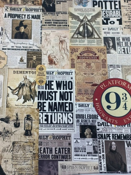 Футер 2х нитка петля по мотивам вселенной Гарри Поттера