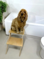 Лестница для собак в ванную