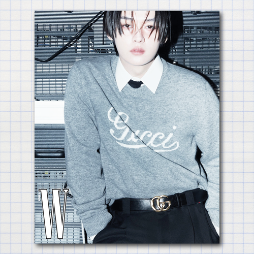 Постер #0146 / STRAY KIDS / Минхо (Lee Know)