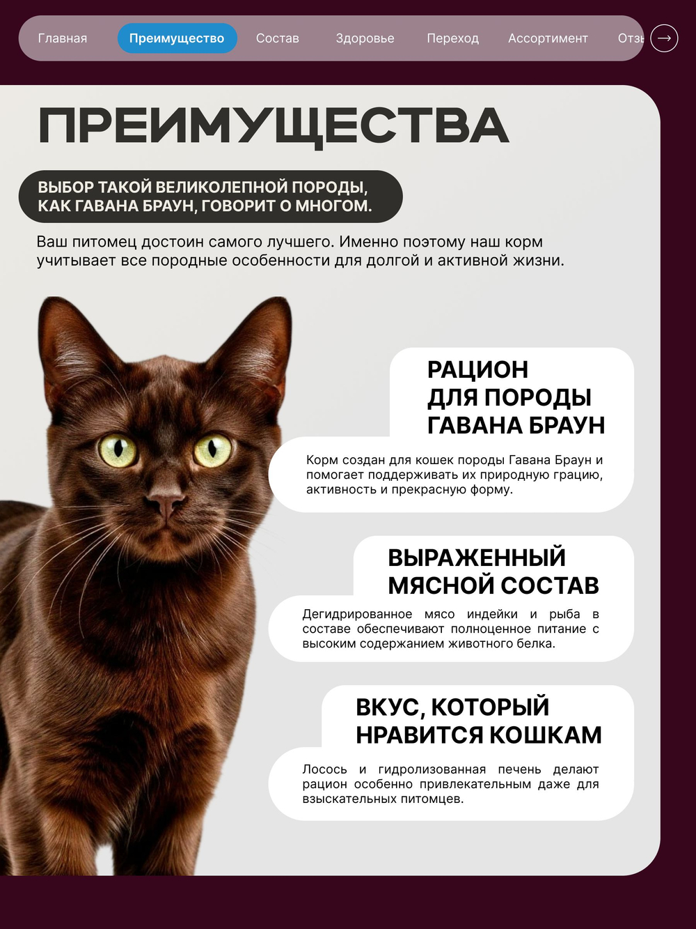 Корм сухой для взрослых кошек породы Гавана Браун, с лососем, 400 гр, QUATTRO