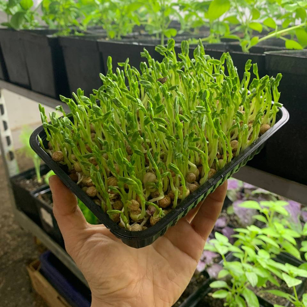 Что нового?