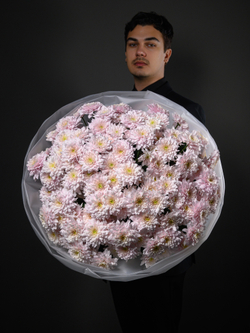 Моно букет из 25 цветных хризантем