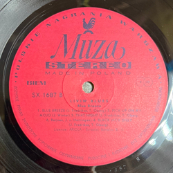 Виниловая пластинка Livin' Blues – Blue Breeze LP