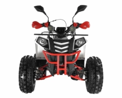 Квадроцикл Wels Thunder EVO X