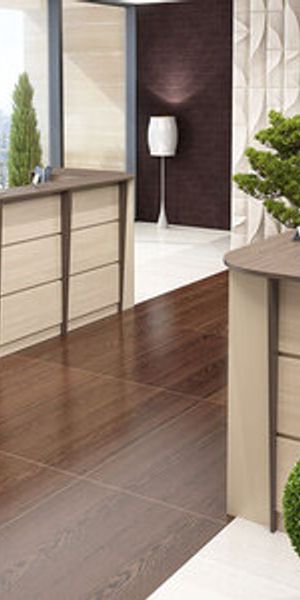 Стойка ресепшн Дэмир