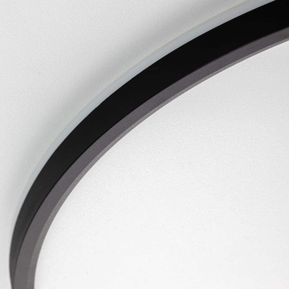 Citilux NORMA CL749501 LED RGB Светильник с пультом Чёрный