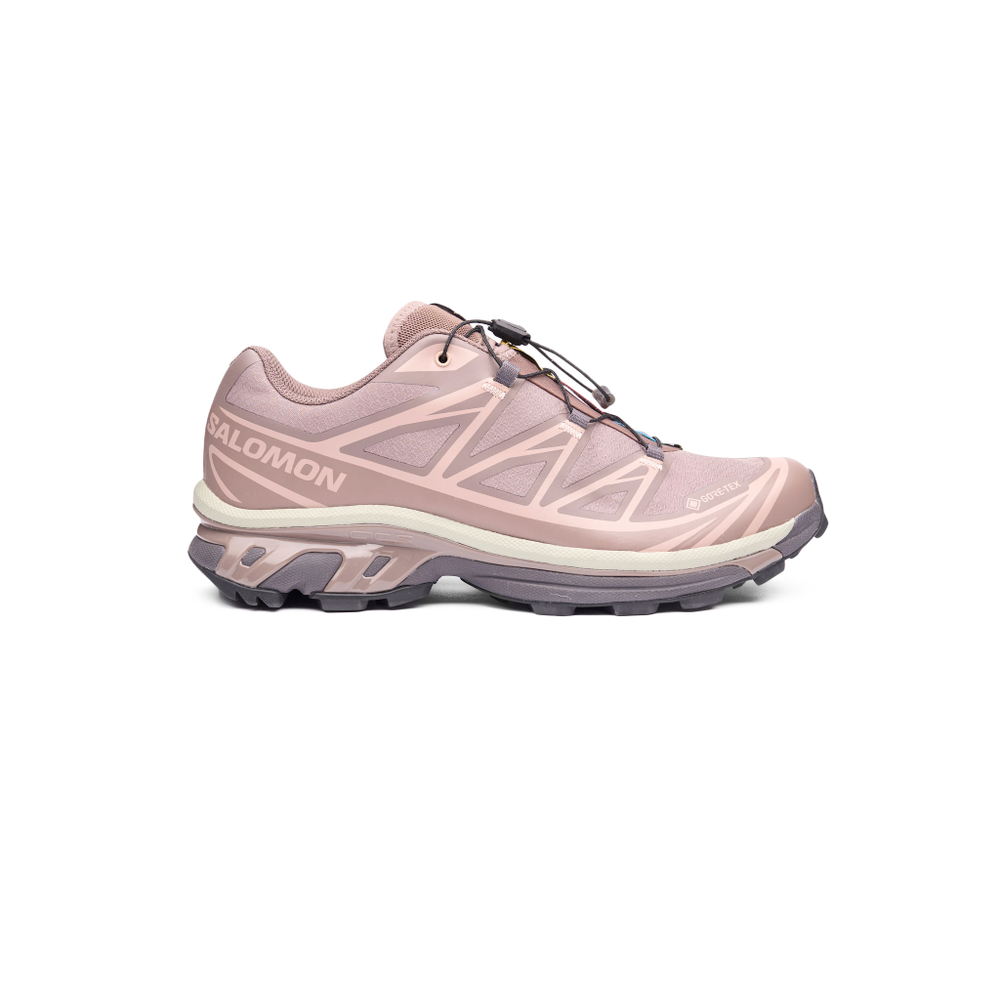 Кроссовки Salomon XT-6 Gore-Tex "Iron Etherea"