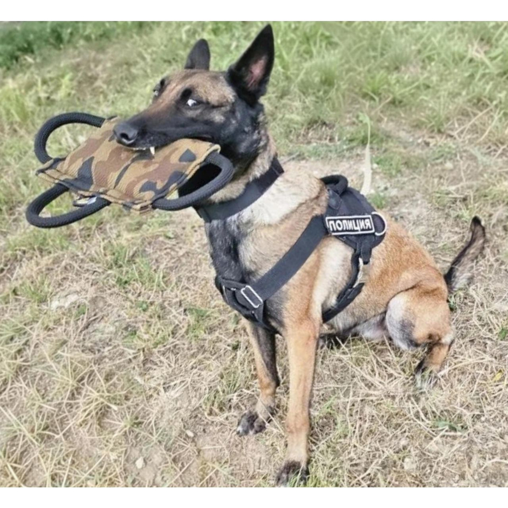 Кусалка подушка из спецткани с тремя ручками Fordogtrainers