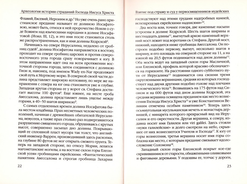 Археология истории страданий Господа Иисуса Христа. Николай Маккавейский