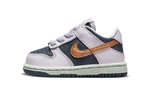 Baby Nike Dunk Low SE comfortable low-cut sports casual shoes blue purple