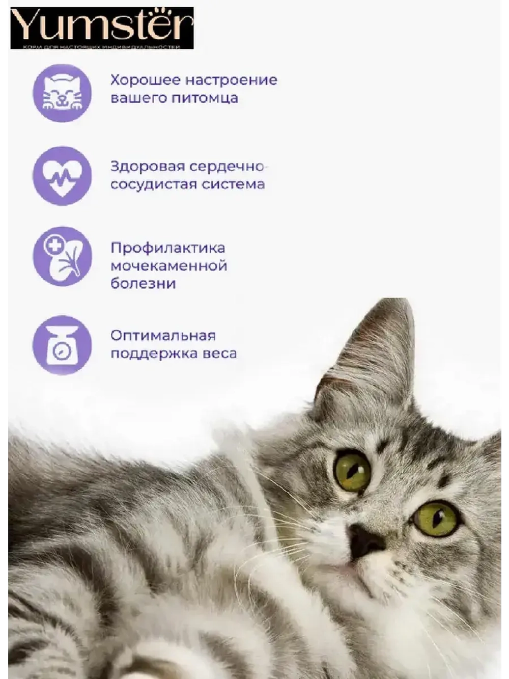 Влажный корм для взрослых кошек 85 г х 12 шт.