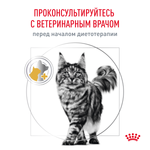 ROYAL CANIN Urinary S/O Корм сухой для кошек при мочекаменной болезни, 350 г