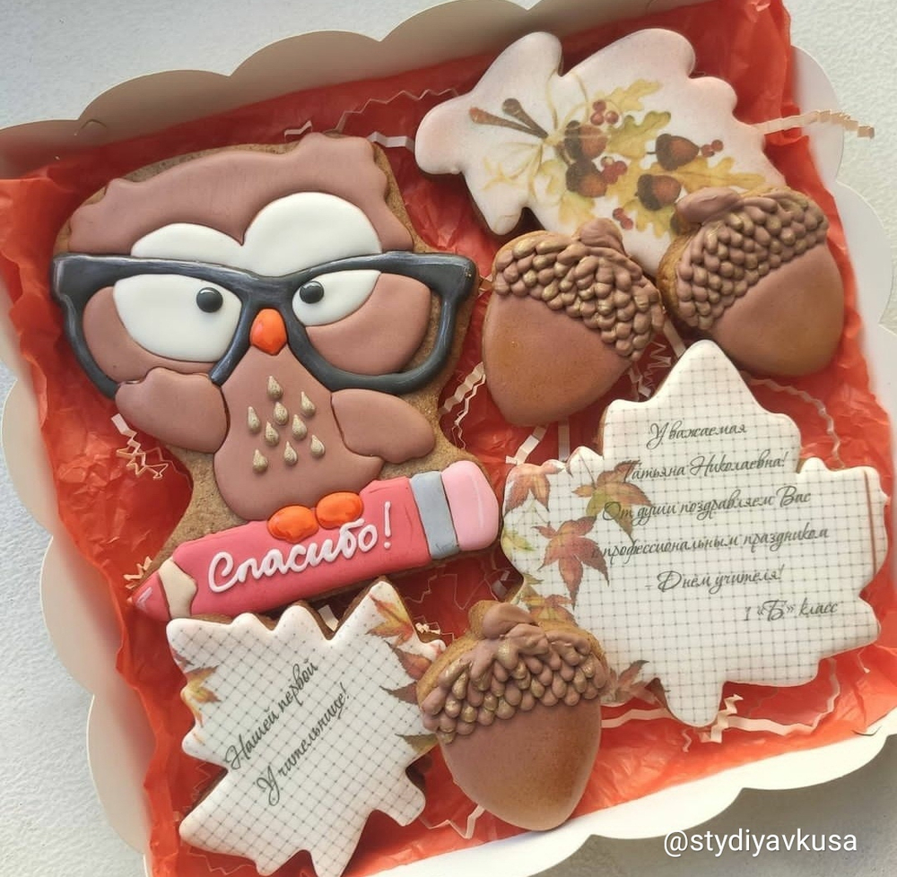 Сова №8 В очках на карандаше