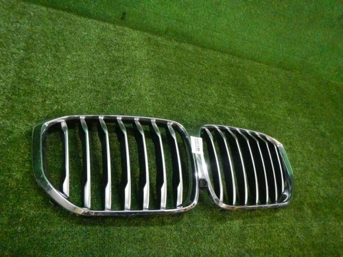 Решетка радиатора BMW X5 G05 (2018-2023)