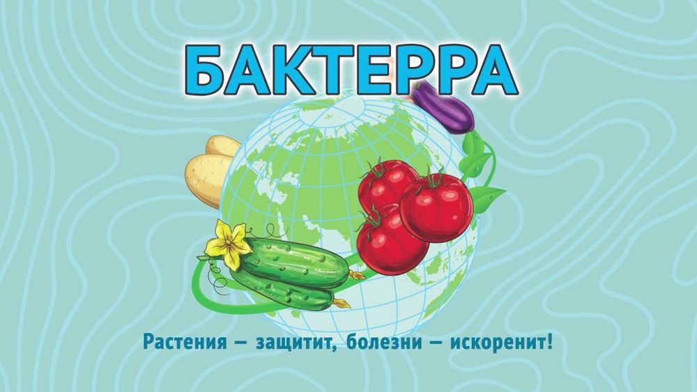 Средство БАКТЕРРА для защиты растений от комплекса грибных и бактериальных болезней в пакете 15 гр