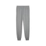 Мужские брюки PUMA BMW MMS ESS Sweat Pants FT