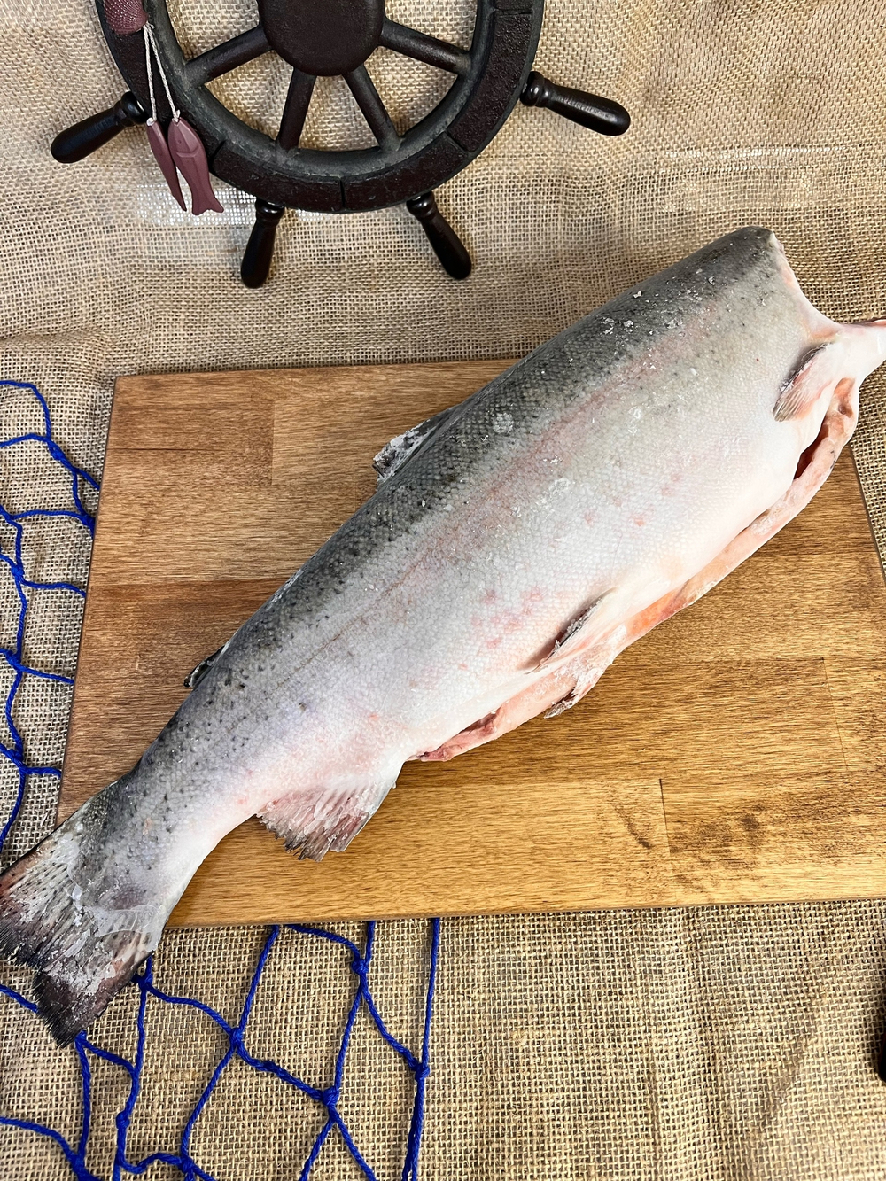 Форель морская 1,8-2,7 кг