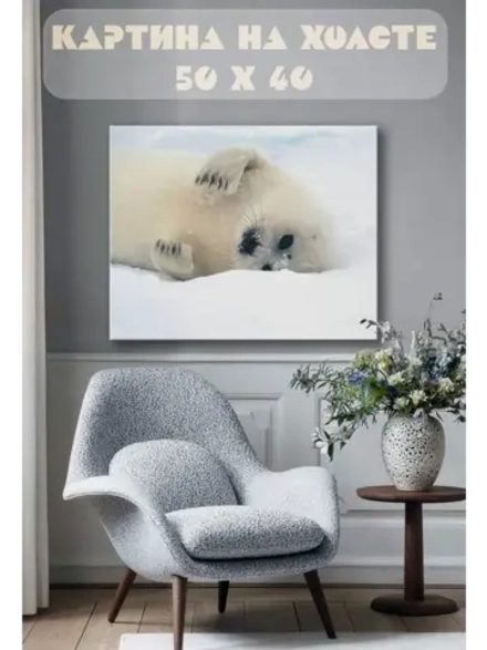 Картина на стену 40 X 50 Тюлень