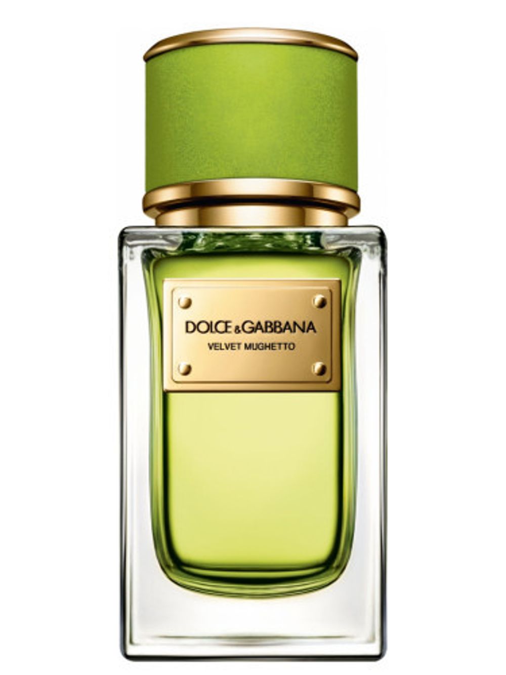 Dolce and Gabbana Velvet Mughetto