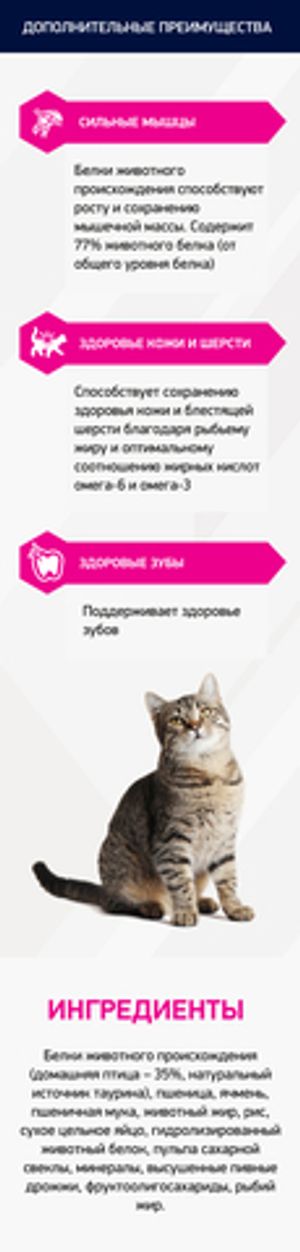 Корм для взрослых кошек, Eukanuba Cat ADULT STERILIZED WC, с избыточным весом и стерилизованных