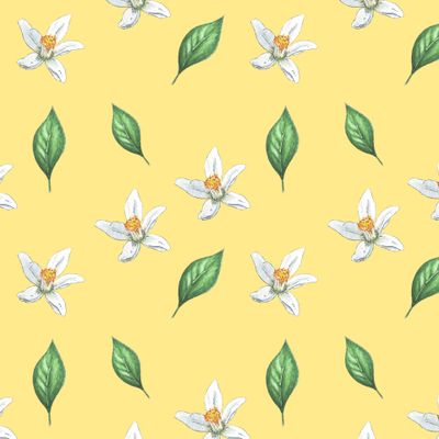 Цветы и листья апельсина на желтом фоне акварель