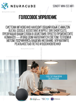 Умное Двухканальное Zigbee реле SONOFF MINI-ZB2GS (10А-на канал)