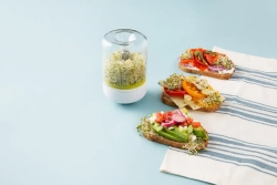 Kitchen Craft Набор для выращивания рассады Chef'n 15,5x10,5 см